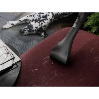 جاروبرقی 650 وات آ ا گ مدل AB81A2DG 102809312